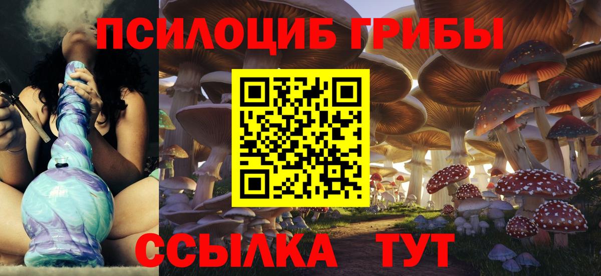 Омск  Псилоцибиновые грибы прущие грибы  Вход с VPN 